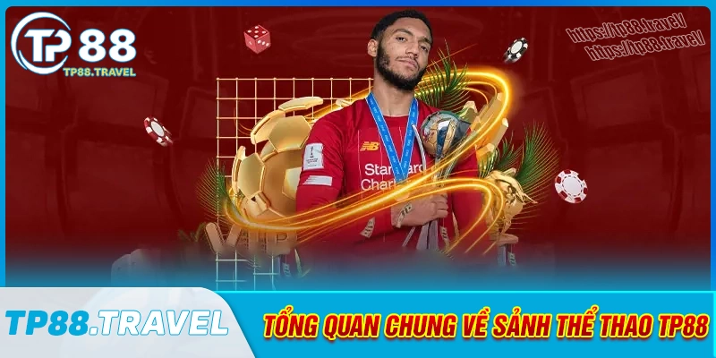 tong-quan-chung-ve-sanh-cuoc-the-thao-tp88