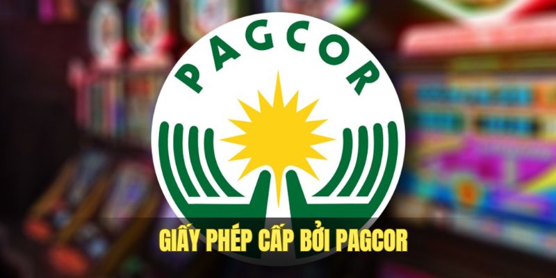 giay-phep-hoat-dong-dv88-cap-boi-pagcor